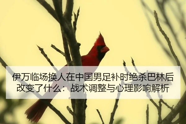 yi-wan-lin-chang-huan-ren-zai-zhong-guo-nan-zu-bu-shi-jue-sha-ba-lin-hou-gai-bian-le-shen-me-zhan-shu-tiao-zheng-yu-xin-2-831.jpg